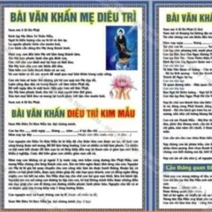 COMBO 15 Tờ Sám Hối Với Thai Nhi, IN 2 MẶT, ÉP PLASTICS NHIỀU CỠ 841443