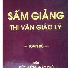 TN51 - THẺ NHỚ PHẬT GIÁO HÒA HẢO, Thẻ Nhớ 8G Chép Sẵn 300 Bài Kinh Phật, Niệm Phật, Các Bài Sấm Giảng, Học Phật Tu Nhân