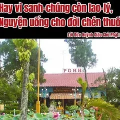 TN51 - THẺ NHỚ PHẬT GIÁO HÒA HẢO, Thẻ Nhớ 8G Chép Sẵn 300 Bài Kinh Phật, Niệm Phật, Các Bài Sấm Giảng, Học Phật Tu Nhân