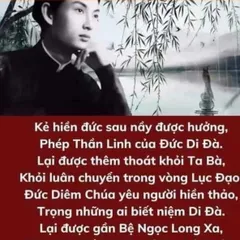 TN51 - THẺ NHỚ PHẬT GIÁO HÒA HẢO, Thẻ Nhớ 8G Chép Sẵn 300 Bài Kinh Phật, Niệm Phật, Các Bài Sấm Giảng, Học Phật Tu Nhân