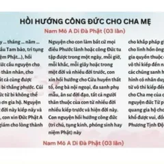 TO56 - Hồi hướng công đức cho Cha Mẹ cực đẹp 841668