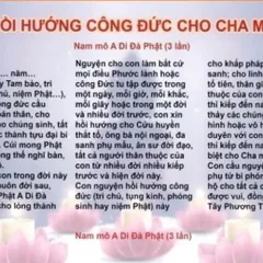 TO56 - Hồi hướng công đức cho Cha Mẹ cực đẹp 841668