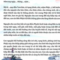 TO56 - Hồi hướng công đức cho Cha Mẹ cực đẹp 841668