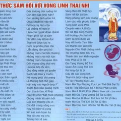 TO22 - TỜ NGHI THỨC SÁM HỐI VỚI VONG LINH THAI NHI Khổ A3-A4-A5 ÉP PLASTICS 841744