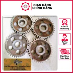 Nhông Máy Ép Mía M3-36 Răng / 100 Răng. Chất Liệu Gang