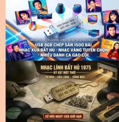 USB 32GB NHẠC HÌNH VÀ VIDEO 5000 BÀI ĐỦ THỂ LOẠI 250K
