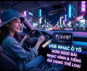 USB 32GB NHẠC HÌNH VÀ VIDEO 5000 BÀI ĐỦ THỂ LOẠI 250K