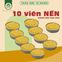 Nến tealight xông thảo mộc, tinh dầu, thờ cúng ít khói, ít mùi