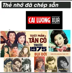 THẺ NHỚ, USB  16GB MP3 NHẠC XƯA TỔNG HỢP HAY NHẤT CẬP NHẬT LIÊN TỤC 2026 0398-142-241