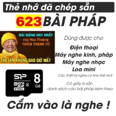 TN17 - Thẻ Nhớ 8G Chép Sẵn 623 Bài Thuyết Pháp Thiền Sư Thích Thanh Từ 0398-142-241