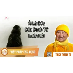 TN17 - Thẻ Nhớ 8G Chép Sẵn 623 Bài Thuyết Pháp Thiền Sư Thích Thanh Từ 0398-142-241