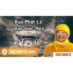 TN17 - Thẻ Nhớ 8G Chép Sẵn 623 Bài Thuyết Pháp Thiền Sư Thích Thanh Từ 0398-142-241