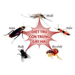 XỊT CÔN TRÙNG ARS 600 ml Thái Lan - Công thức mạnh mẽ bảo vệ cả gia đình khỏi Muỗi, gián và các côn trùng