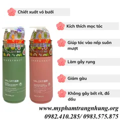 Dầu gội Bưởi chống rụng tóc và kích thích mọc tóc 850 ml TẶNG CHAI SỮA TẮM 300ML