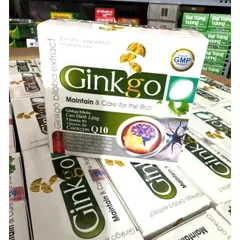 Ginkgo biloba 240mg Giúp hoạt huyết, tăng cường lưu thông máu, giảm đau đầu chóng mặt Hoạt huyết dưỡng não