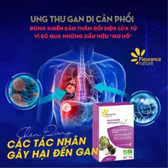 RADIS NOIR-ARTICHAUT BIO - Viên uống giải độc gan, Tăng cường chức năng gan – Hộp 30 viên - Pháp
