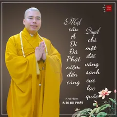 TN97 - Thẻ Nhớ 16G Chép Sẵn 1668 Bài Thuyết Pháp Thầy Thích Nhuận Đức cực hay