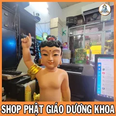 HOẢ TỐC, TƯỢNG PHẬT ĐẢN SANH CAO 40cm  VẺ MÀU ĐS09 cực đẹp