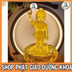BỘ TƯỢNG ĐẢN SANH 16CM + CHẬU CỰC ĐẸP GIÁ SĨ CHO PHẬT TỬ  DƯƠNG KHOA SHOP 0398.142_241