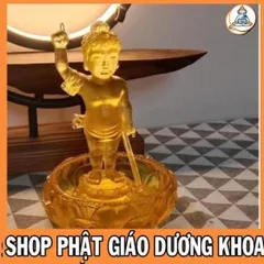 BỘ TƯỢNG ĐẢN SANH 16CM + CHẬU CỰC ĐẸP GIÁ SĨ CHO PHẬT TỬ  DƯƠNG KHOA SHOP 0398.142_241