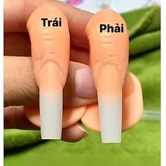 Ngón tay giả có khoé tập sơn móng vẽ móng , úp móng giả , đắp gel bột cho học viên thực hành đa năng giá rẻ