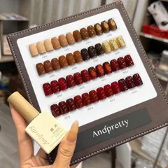 Set Sơn Andpretty 16 Màu Cao Cấp Kết Hợp Các Tone Nâu Đỏ Nhũ Mắt Mèo Siêu Sáng Tặng Kèm Bảng Màu HOT [ TÚ ANH NAIL ]
