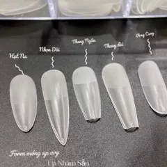 Móng úp nhám sẵn HSM phom tròn hạt gạo hộp 500 móng đủ size form chuẩn mã HOT [ TÚ ANH NAIL ]