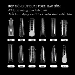 Móng Úp Gel Gôm Dual Phom Hộp 12 Phom Móng 288C Đủ Size - Móng Nối Tạo Cầu Móng - Đắp Gel Bột Siêu Dẻo Bền