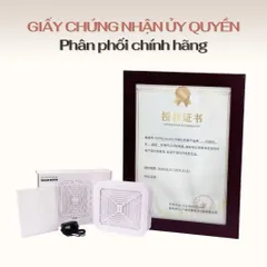 Máy Hút Bụi Nail SNRQI WL007 - WL008 120W Lực Hút Cực Mạnh , Siêu Êm CHÍNH HÃNG SNRQI T8 ( Tặng Cọ Phủi )