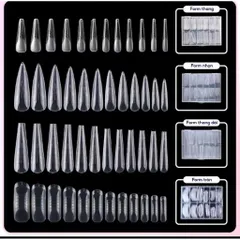 Móng Úp Gel Gôm Hộp 120c Đủ 12 Size 4 Phom Chuyên Dụng - Móng Úp Dual Phom Cao Cấp [ TÚ ANH NAIL ]