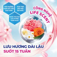 Túi Thơm Quần Áo Hygiene Thái Lan, Treo Xe Ô Tô Khử Mùi Nhà Vệ Sinh, Làm Thơm Phòng Ngủ Và Tỏa Hương Thơm Mát 0398_142_241