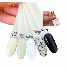 Sơn gel B281 màu cơ bản nhất chất siêu đặc đẹp chuẩn màu