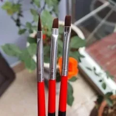 Set 3 cây cọ cọ bản vẽ móng cao cấp lông mướt chuyên dụng ngành nail