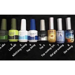 Sơn Top Lì Nhám VNM Tạo Hiệu Ứng Màu Sơn Gel Siêu Lì Mịn Trên Tất Cả Nền Màu Chai 15ML ( Chính Hãng )