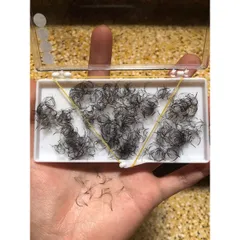 [ SALE ] Mi volum khay 1000 fan 3D - 6D -0,07mm cong C - CC - D silk siêu mảnh chân keo nhỏ bắt keo tốt [ TÚ ANH NAIL ]