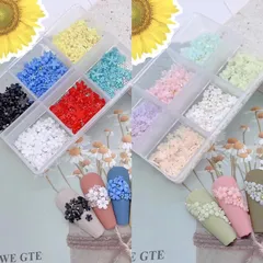 Cham hoa nhí đính móng khay 6 ngăn siêu đẹp mix màu