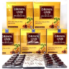 12-Bginseng - Linzhi Đông Trùng Hạ Thảo nắm đông trùng hạ thảo bồi bổ cơ thể, ăn ngủ ngon, cho người suy nhược 12B noi