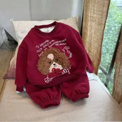 Quần áo thu đông cho bé, set bộ nỉ Hàn lót lông ấm áp thêu đắp gấu xù cho bé trai và bé gái 8-22kg