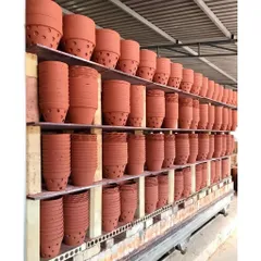 COMBO 3-5 Chậu  đất nung có 4 size + Tặng kèm móc treo, trồng hoa Lan, cây phong Lan, phong lan loại 1