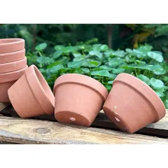 (Combo 3-5) - Chậu Đất Nung Thao - Trồng Xương Rồng , Sen Đá, Cây Cảnh Và Hệ Cây Mini Giá Rẻ, Có Nhiều Kích Thước