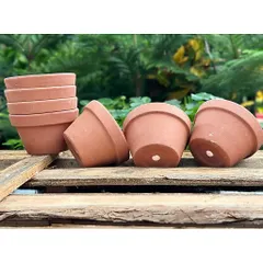(Combo 3-5) - Chậu Đất Nung Thao - Trồng Xương Rồng , Sen Đá, Cây Cảnh Và Hệ Cây Mini Giá Rẻ, Có Nhiều Kích Thước