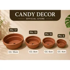 (Combo 3-5) - Chậu Đất Nung Thao - Trồng Xương Rồng , Sen Đá, Cây Cảnh Và Hệ Cây Mini Giá Rẻ, Có Nhiều Kích Thước