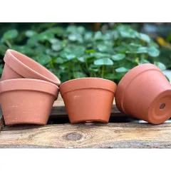 (Combo 3-5) - Chậu Đất Nung Thao - Trồng Xương Rồng , Sen Đá, Cây Cảnh Và Hệ Cây Mini Giá Rẻ, Có Nhiều Kích Thước