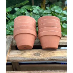 (Combo 3-5) - Chậu Đất Nung Thao - Trồng Xương Rồng , Sen Đá, Cây Cảnh Và Hệ Cây Mini Giá Rẻ, Có Nhiều Kích Thước