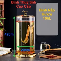 (5L - 10L) - BÌNH NGÂM R.Ư.Ợ.U THỦY TINH NẮP HƯƠU VÀNG CAO CẤP – SANG TRỌNG. CHẤT LIỆU TRONG SUỐT BỀN ĐẸP