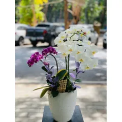 Bình gốm sứ Bát Tràng dáng xô nhiều kích thước, cắm hoa, trồng lan, hậu cây cảnh nội thất decor,cắm hoa decor,trồng cây