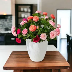 Bình gốm sứ Bát Tràng dáng xô nhiều kích thước, cắm hoa, trồng lan, hậu cây cảnh nội thất decor,cắm hoa decor,trồng cây