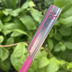 Dao cạo lông mày, lông mặt KAI beauty Razor White Conc Nhật Bản