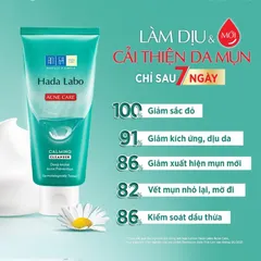 Kem Rửa Mặt Dưỡng Ẩm Hada Labo Advanced Nourish / Perfect White / Acne Care / Pro Anti Aging Cleanser White Conc 80g