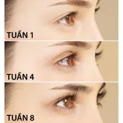 Dưỡng mi Eveline 8 In 1 Total Action Lash Therapy dưỡng mi dài, dày, giảm gãy rụng White Conc 10ml